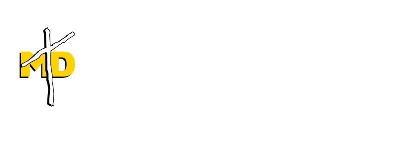 logo img